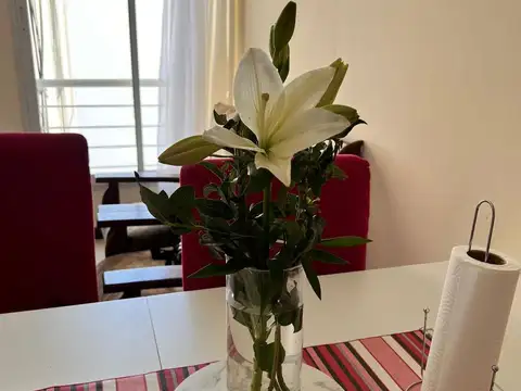 Departamento en Alquiler en Centro, $ 520.000