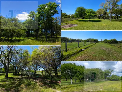 Terreno en Margarita Belen