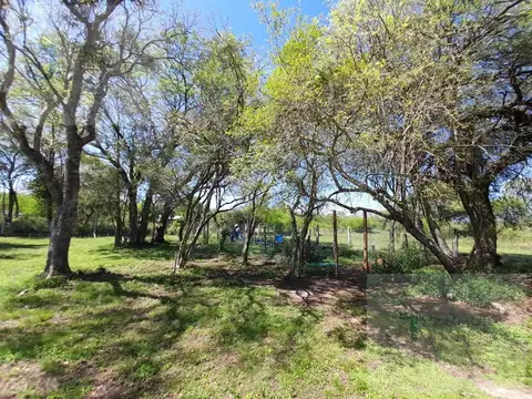 Terreno en Venta 25  mts Frente