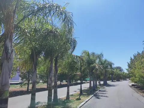 Lote en venta en Chateau Pilar