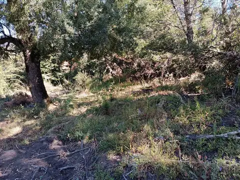 Lote  en Venta en Kaleuche, San Martin de los Andes, Patagonia