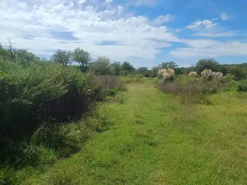 EL MANZANO