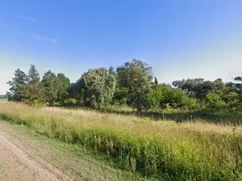 Campo en venta - 10.100Mts2 - Chivilcoy