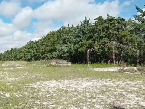 Galpon en Alquiler A Estrenar