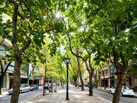 Oficina en Venta en Las Cañitas, USD 540.000