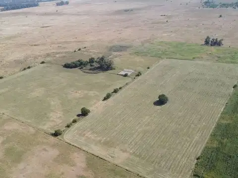 campo de 66,6 has en venta en General Las Heras