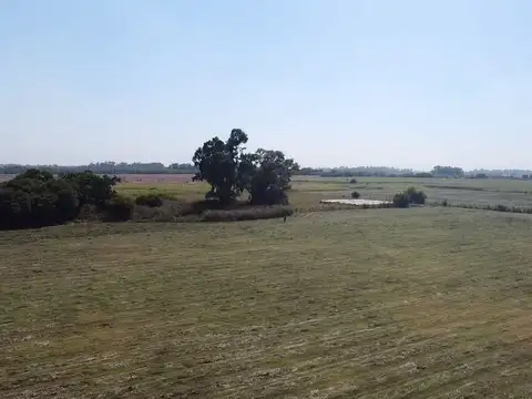 campo de 66,6 has en venta en General Las Heras