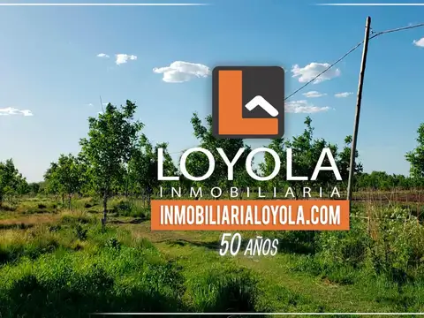 5 Hectáreas para Producción y Vivienda La Paz Cordoba