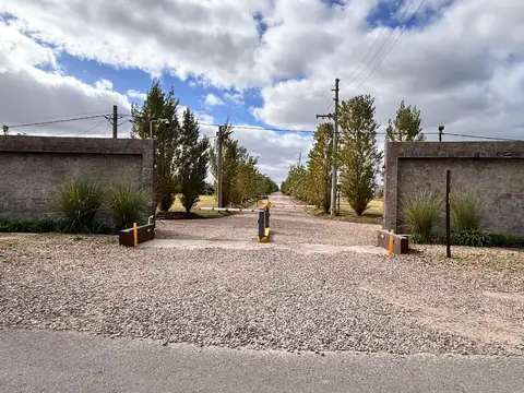 Terreno en Venta de 250,0 m2
