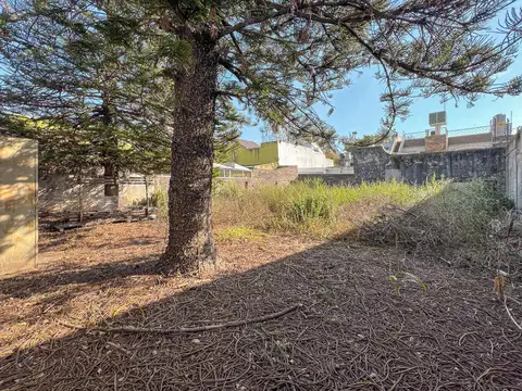 Terreno en Venta 10  mts Frente