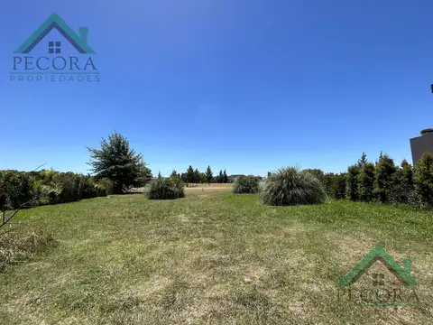 Terreno en Venta 50  mts Fondo