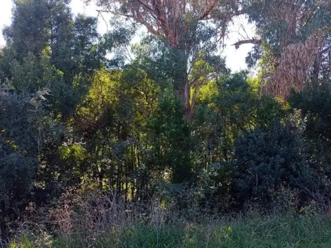 Terreno en Venta en Veronica, USD 45.000