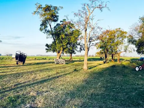 Campo mixto a 125 kms de Bs As -