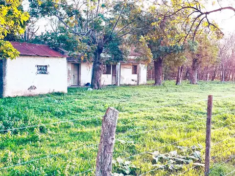 Campo en Venta Agrícola