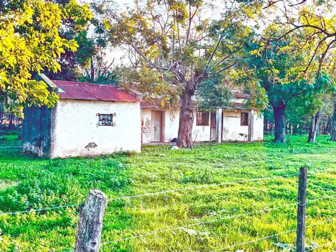 Campo en Venta de 220  ha
