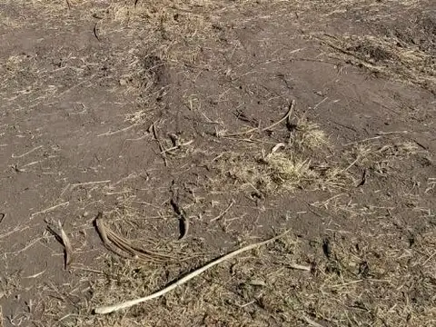 Terreno en Venta en Mariano Acosta, $ 12.500.000