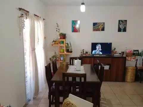 CERRO JUNCAL 1100