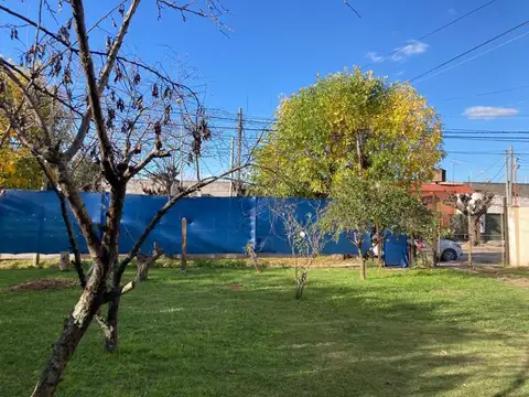 Rivadavia 600