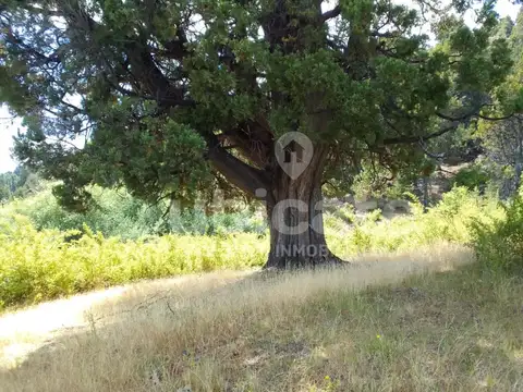 Terreno en Venta en Cholila, USD 230.000