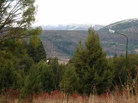 CALLEJON DE GINGIN 32 Hectáreas al 100