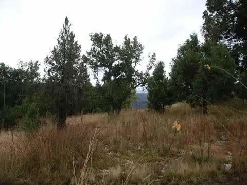 VENTA 32 HECTAREAS EN SAN MARTIN DE LOS ANDES