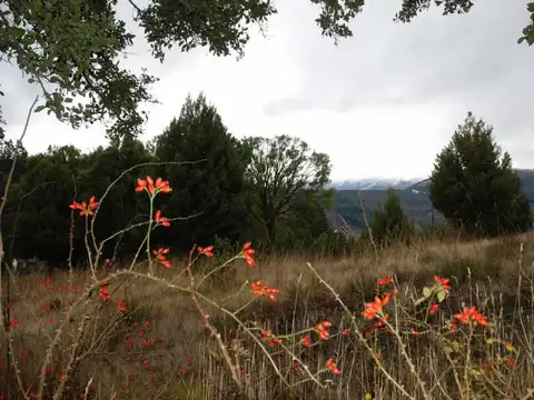 VENTA 32 HECTAREAS EN SAN MARTIN DE LOS ANDES