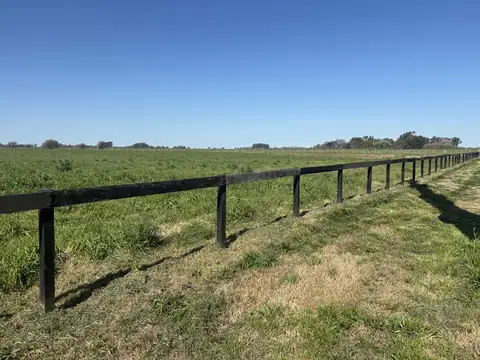 Dueño vende Chacra de 1 ha. en Polo Club Chacras de al Trinidad