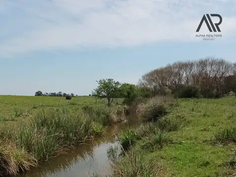 Chacra en venta de 10ha ubicado en San Carlos
