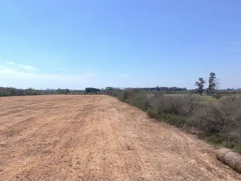 Campo mixto de 19 has con arroyo en Nogoyá