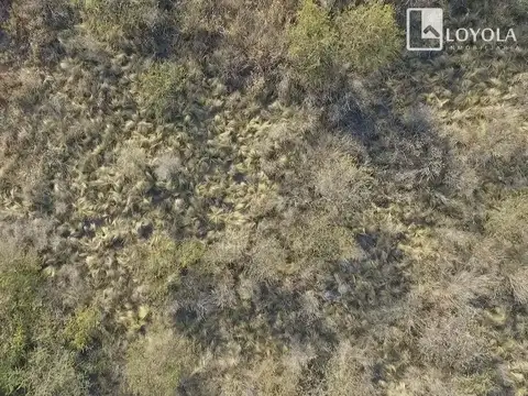 Cuesta De La Granadilla