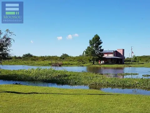 Campo - Paranacito