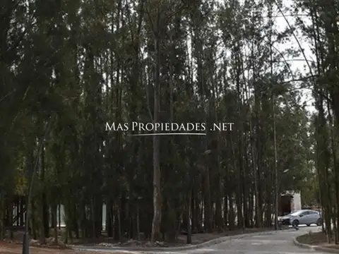 Terreno en Venta 20  mts Frente