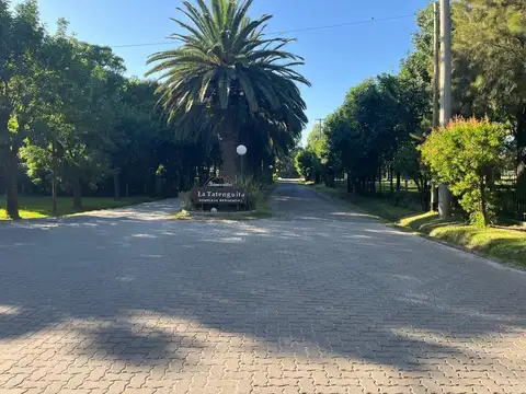 LOTE EN LA TATENGUITA, SANTO TOME