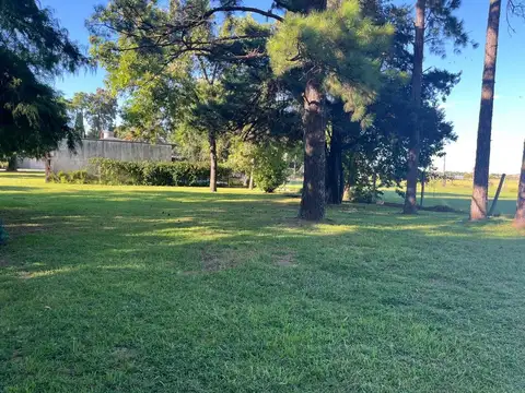 Colectora Countrys 1900