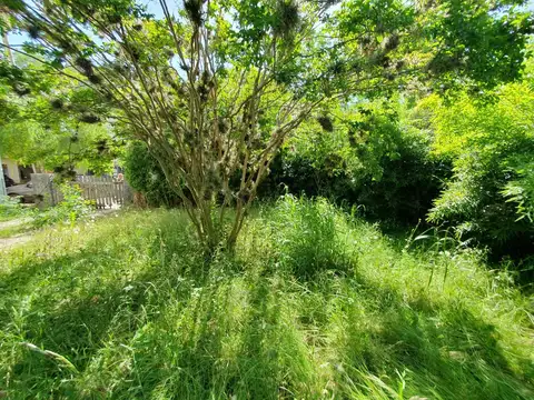 Terreno en Venta de 200,0 m2