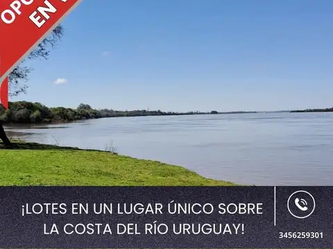 Oportunidad por tiempo limitado
