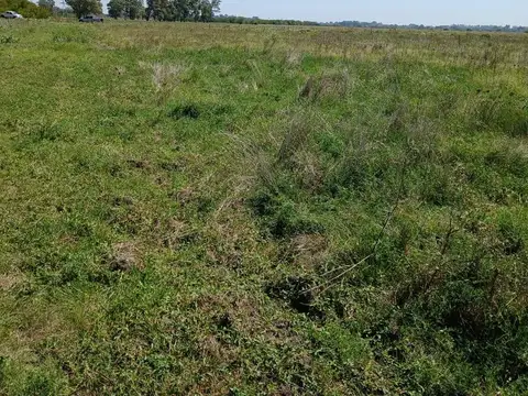 Campo de 84 hectares - ideal para desarrollo - zona norte de Buenos Aires