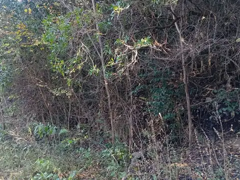 Terreno en Venta de 1835,0 m2