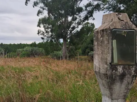 Terreno en Venta en Calabacillas, USD 18.000