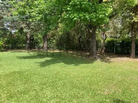 Calle Almafuerte 3900