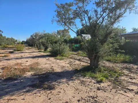 Terreno en Venta en Coquimbito, USD 40.000