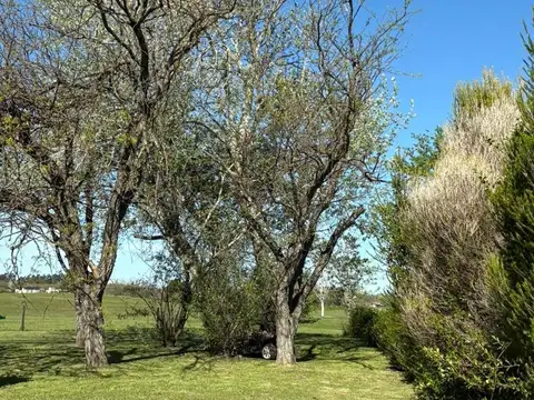 Terreno en Venta 1  mts Fondo