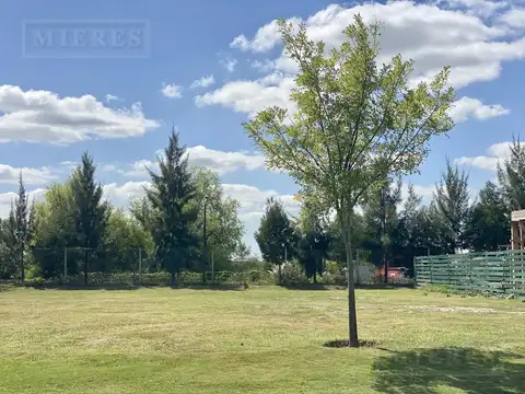 PERMUTA: Lote perimetral en venta. Las Tipas , Nordelta.