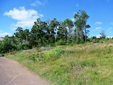 Terreno en Venta en Punta Ballena, USD 4.500.000