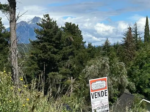 Bajada Selva Negra 300