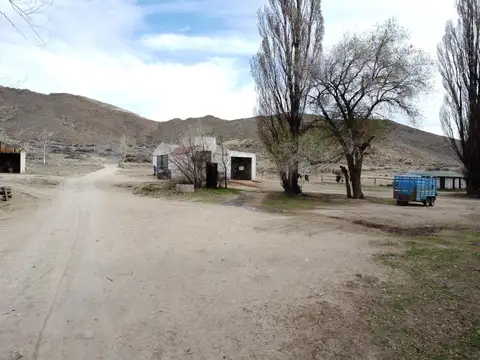 campo en venta en comallo