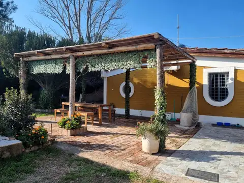 Ortencia 100