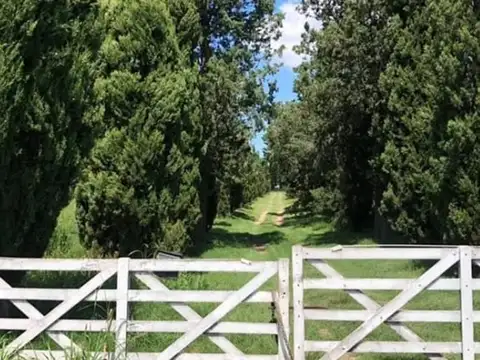 VENTA DE CAMPO DE SOBRE RUTA 7