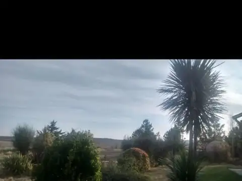 VENTA DE CAMPO DE SOBRE RUTA 7