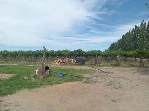 ruta 153 norte, calle guiñazu km 1 s/n